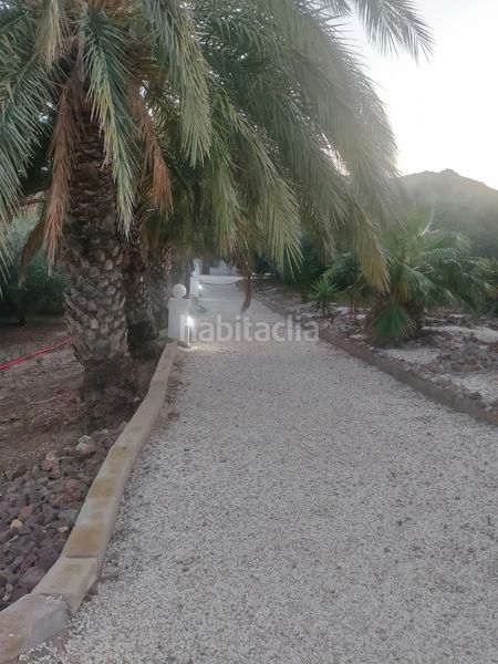 Foto 71994eb6-7369-4b88-bcd0-d4378cce9c3c. Location chalet dans calle la mesta 6 dans Pozo de los Frailes-Presillas-Albaricoques Níjar