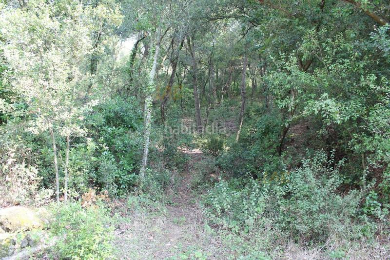 Foto 3ecc00f7-0a94-4fd1-b174-bb34a6433694. Residential plot in Vallgorguina