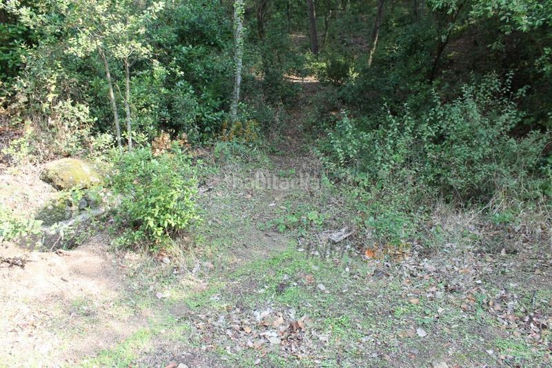 Foto 7030437e-82da-4896-8898-293183579175. Residential plot in Vallgorguina