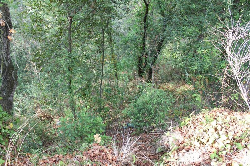 Foto 7efaada6-a017-4a89-95c1-3a4cad12c908. Residential plot in Vallgorguina