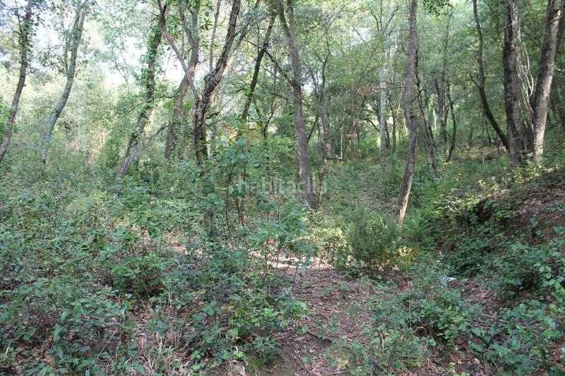 Foto d26223c7-da84-4546-8691-c7e249b1ebbf. Residential plot in Vallgorguina