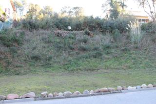 Terrain résidentiel à Carrer llenega blanca 16. Urbanizable, soleada en zona muy tranquila, al lado zona verde!