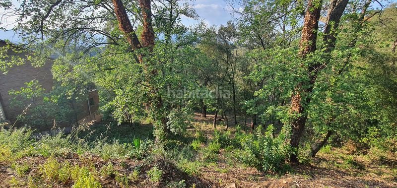 Foto 45df9b19-bc0b-4573-8ea1-38f78e665970. Terreno residencial en lloc can puigdemir 24d construya su casa en un entorno privilegiado! en Vallgorguina