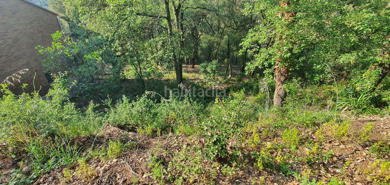 Foto 483e25eb-333c-4285-b87e-c86417a0cacf. Terreno residencial en lloc can puigdemir 24d construya su casa en un entorno privilegiado! en Vallgorguina