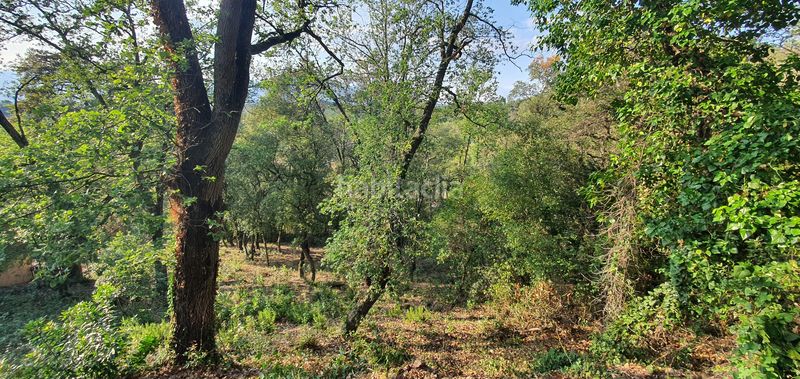 Foto 4c61a223-7066-496e-9fec-c39de057148c. Terreno residencial en lloc can puigdemir 24d construya su casa en un entorno privilegiado! en Vallgorguina