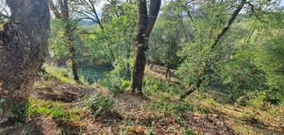 Terrain résidentiel à Lloc can puigdemir 24d. Construya su casa en un entorno privilegiado!