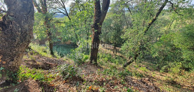 Foto 4caceaa3-799a-4149-9395-7d9189e81ef9. Terreno residencial en lloc can puigdemir 24d construya su casa en un entorno privilegiado! en Vallgorguina
