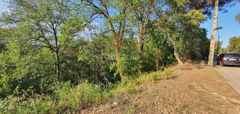 Foto 53b67dc6-fbf2-4308-8580-c90982a22c8a. Terreno residencial en lloc can puigdemir 24d construya su casa en un entorno privilegiado! en Vallgorguina