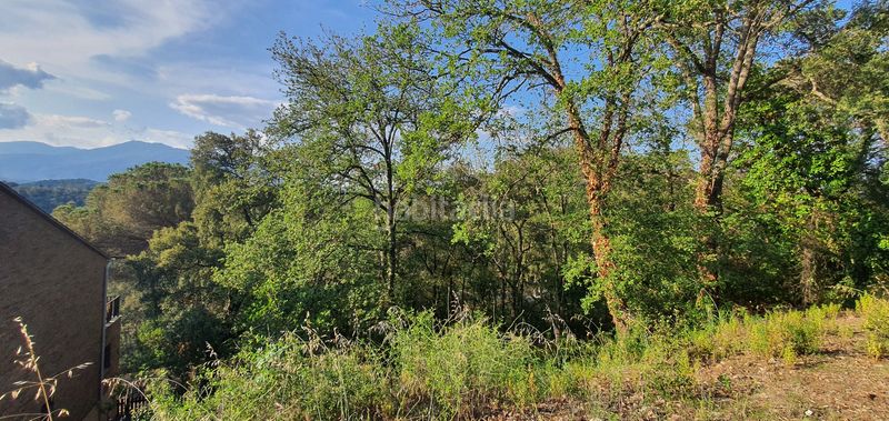 Foto 54df6f10-3f17-4bef-a342-072ff9718118. Terreno residencial en lloc can puigdemir 24d construya su casa en un entorno privilegiado! en Vallgorguina