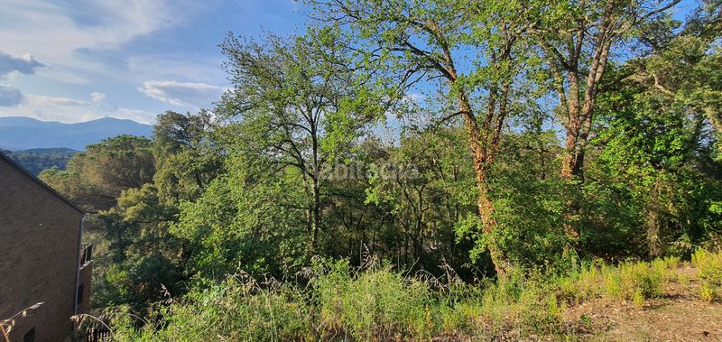 Foto 6f8c7b76-f65a-409f-8a50-0f17b24cce2a. Terreno residencial en lloc can puigdemir 24d construya su casa en un entorno privilegiado! en Vallgorguina