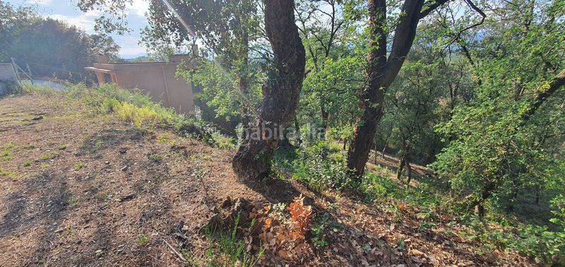 Foto 76721a3b-f878-4038-93ce-704a0dae3ae4. Terreno residencial en lloc can puigdemir 24d construya su casa en un entorno privilegiado! en Vallgorguina
