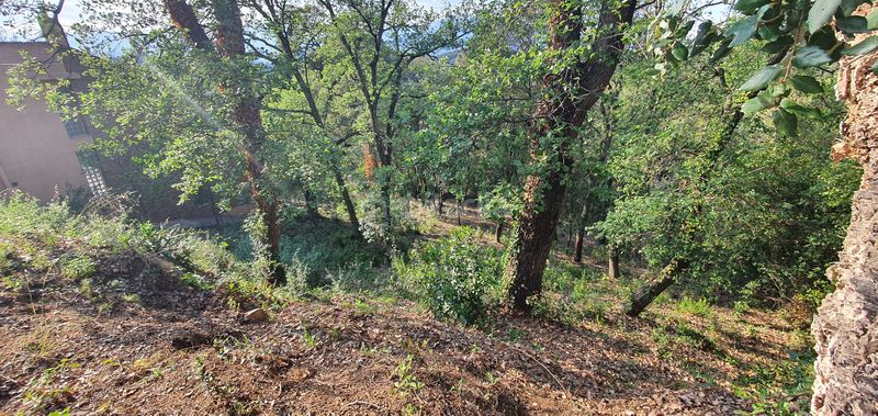 Foto aef65683-7728-4c43-86b1-3910d9ffd1f8. Terreno residencial en lloc can puigdemir 24d construya su casa en un entorno privilegiado! en Vallgorguina
