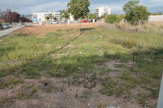 Terreny residencial a Carrer de corró 213. Esquinera totalmente plana!