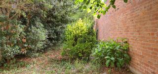 Residential Plot in Vallgorguina