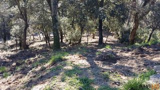 Residential Plot in Carrer llobregat 37. Parcela con vistas orientada a sol todo el día!