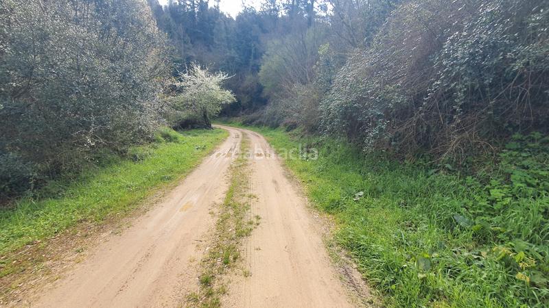 Foto 32236f21-d2e3-4b8f-85a2-111b85dbbbbe. Finca rústica a carrer montvall 1 a Vallgorguina