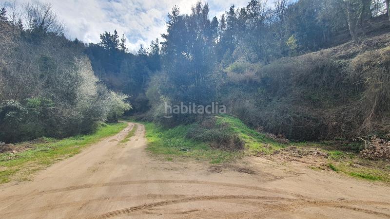 Foto 78e97384-9d65-40a7-b70d-718b325cec86. Finca rústica a carrer montvall 1 a Vallgorguina