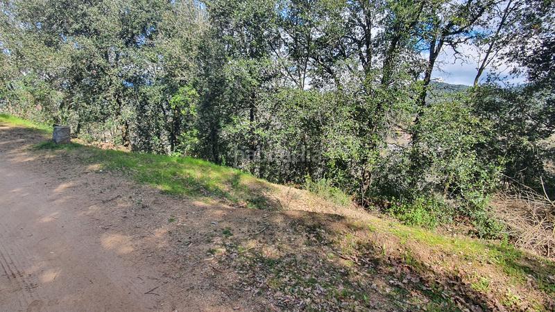 Foto 82875344-07ae-408d-b817-0d0bc761ec7d. Finca rústica a carrer montvall 1 a Vallgorguina