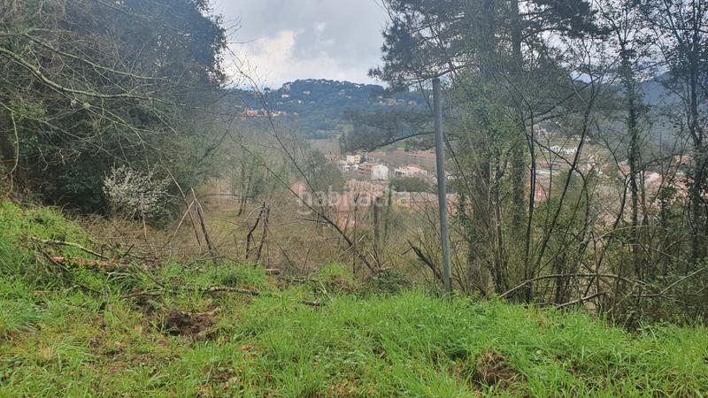 Foto 8af265e4-26c7-4fdb-87e5-207b85ffdeb4. Finca rústica a carrer montvall 1 a Vallgorguina