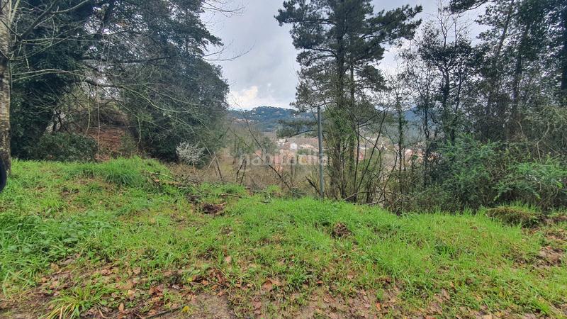 Foto d6257b54-a6d7-4e9f-9039-704b065e90c1. Finca rústica a carrer montvall 1 a Vallgorguina