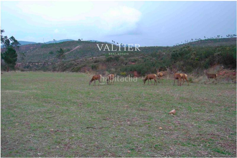 Foto d82b8626-4c16-445b-aa46-7ae055478319. Finca rústica a Henarejos