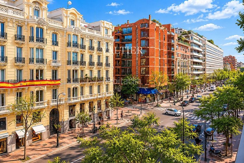 Foto 6d73cddd-4b25-47e2-8108-bd2b4cc1f608. Pis a Almagro Madrid