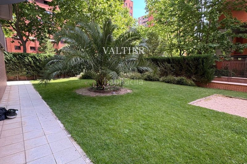 Foto 0f816f03-c2ee-48eb-b4cc-6d21cf201e7f. Rent flat with parking pool in Prosperidad Madrid
