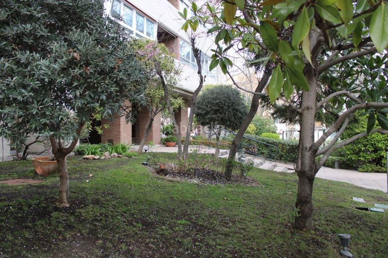 Foto 74c4db8a-3edd-4e08-807c-d46f36e8c905. Rent flat with parking in Prosperidad Madrid