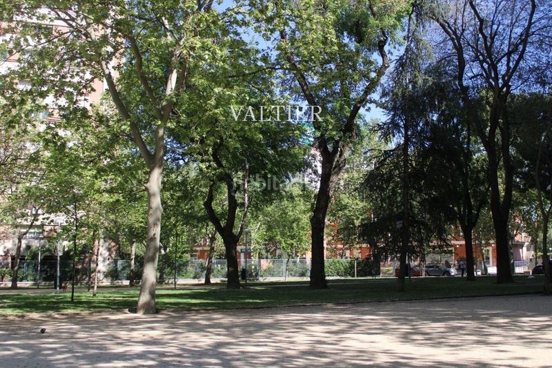 Foto 90ff48e0-be31-43fe-bf65-21f189038174. Rent flat with parking in Prosperidad Madrid