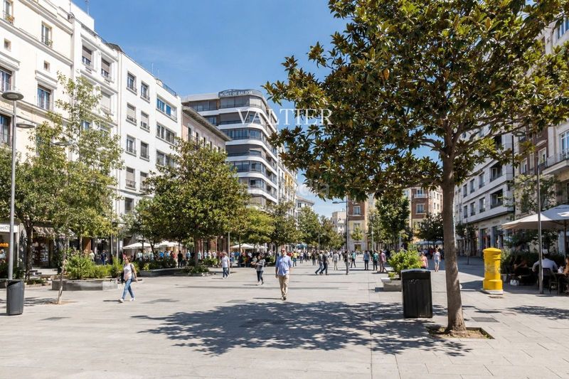 Foto ea40214d-9fa8-4780-9889-98d94418c416. Pis a Goya Madrid
