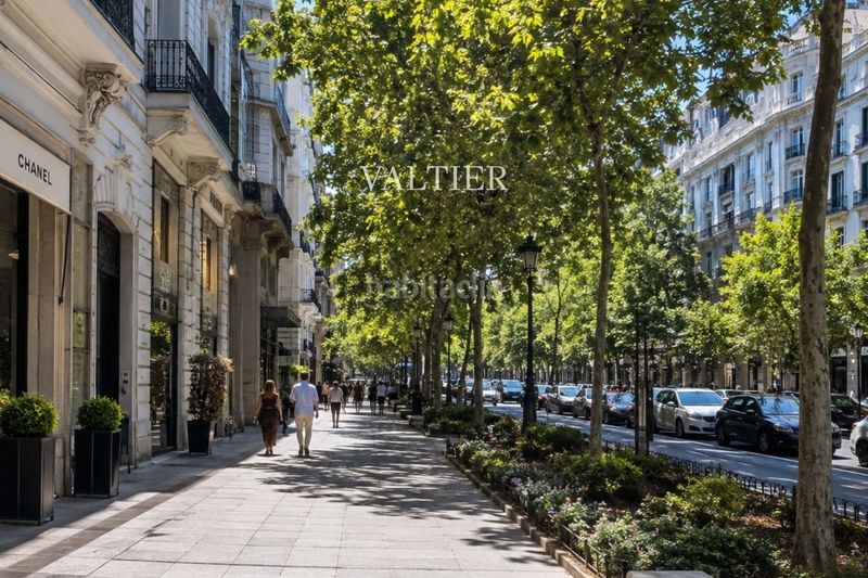 Foto c09e75bf-d980-4f20-a0be-053828e96364. Pis amb calefacció a Recoletos Madrid