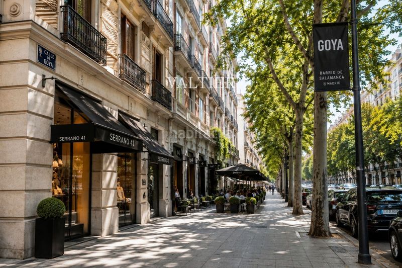 Foto 7943ea8d-46a6-4475-9f9f-ee4461e1ff8b. Dachwohnung mit parking in Goya Madrid