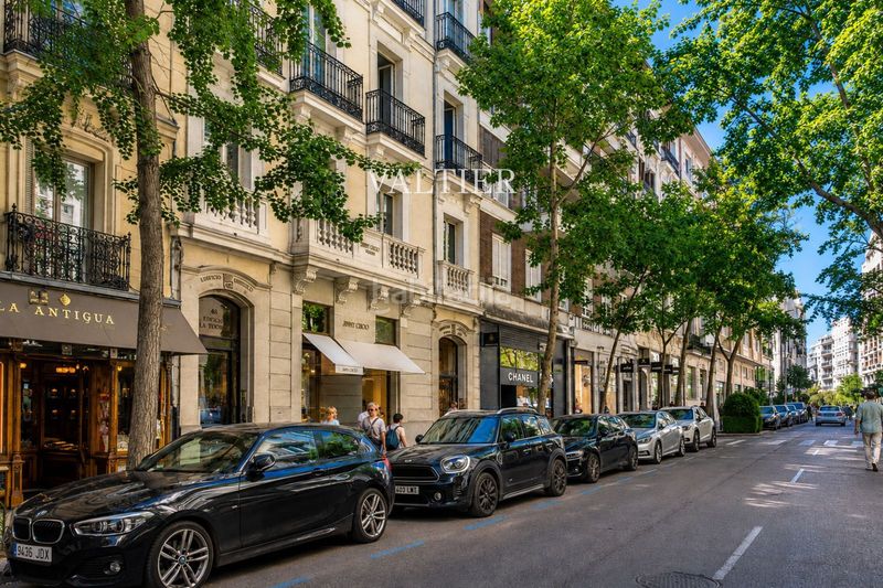 Foto 052878d6-0d4e-47fb-b9a5-7cd70c5bf4db. Pis a Lista Madrid