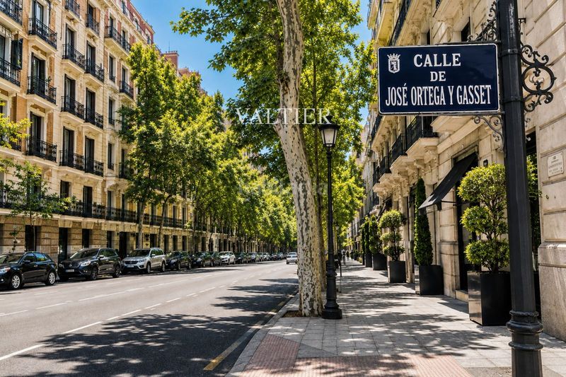 Foto f6e32c44-a29d-4d3e-b3bc-6a8fe0b1e15f. Pis a Lista Madrid