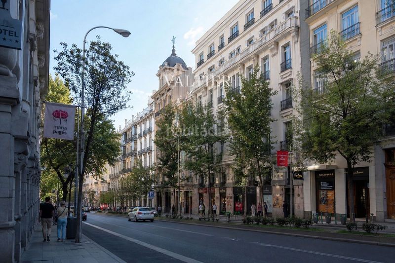 Foto 2682e4e7-dd70-4fcb-af38-16b08d4787b1. Rent flat in Justicia-Chueca Madrid