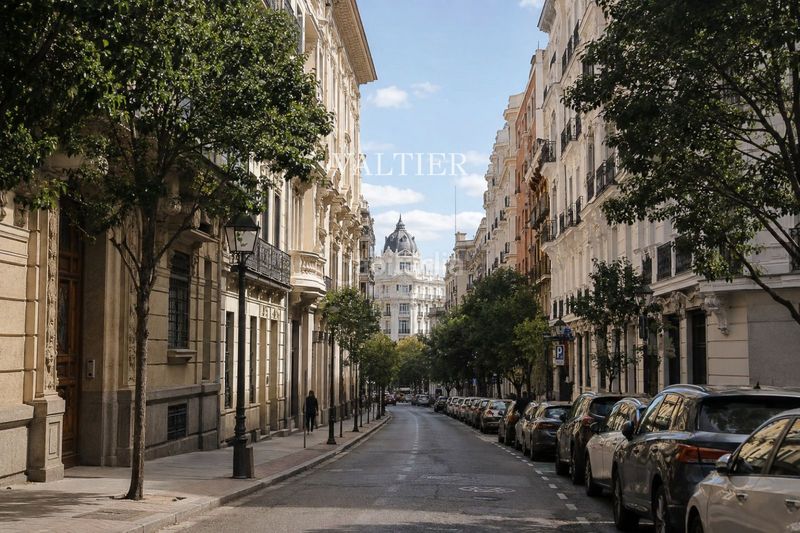 Foto 875c153f-3e2e-486d-821c-a3272f1ae375. Rent flat in Justicia-Chueca Madrid