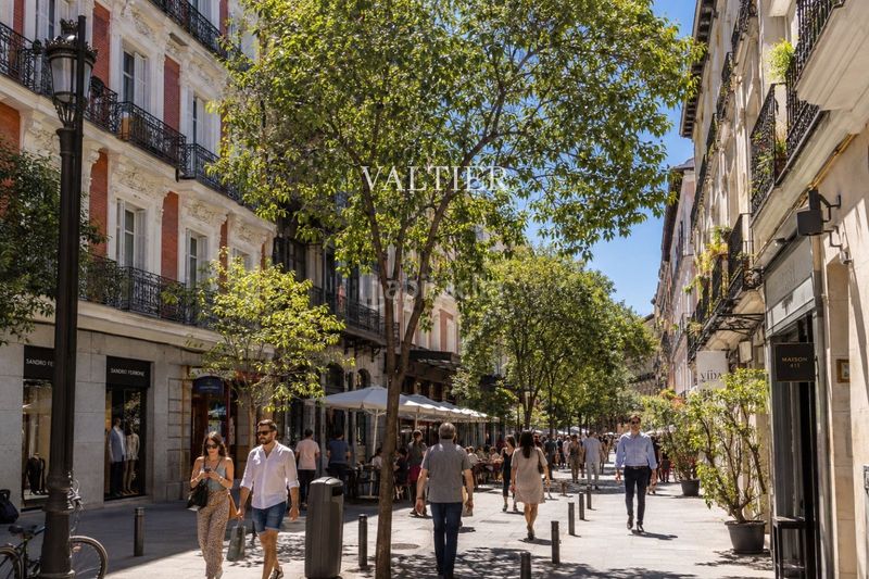 Foto d9ad70fa-87a0-4d3b-82d3-d5ff45127e36. Rent flat in Justicia-Chueca Madrid