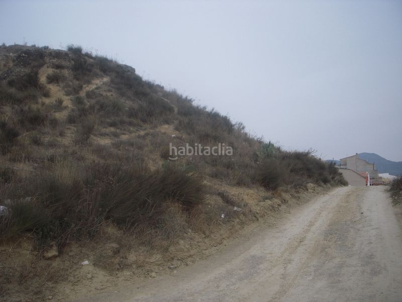 Foto 2091faf6-1cec-4fc1-b50e-d7f55321668c. Finca rústica en calle madrid 4 finca edificable en Olula del Río