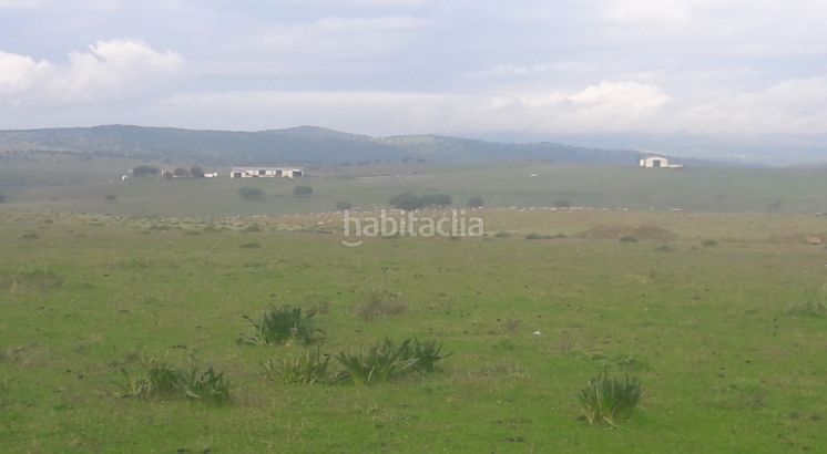 Foto 706706a6-a383-4bd6-ba5b-d0f566b2a341. Finca rústica a Talarrubias