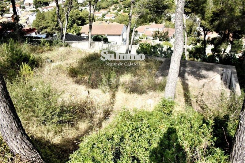 Foto 9b2fe2a5-9ddd-4561-bc59-3a69e2a54e30. Finca rústica a Mas Trader-Corral d´En Tort-Corral d´En Cona Cubelles