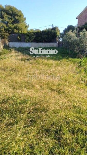 Foto 69159e32-520c-423e-a1d8-a326418da82a. Finca rústica a La Franquesa-Oasis Park Vendrell (El)