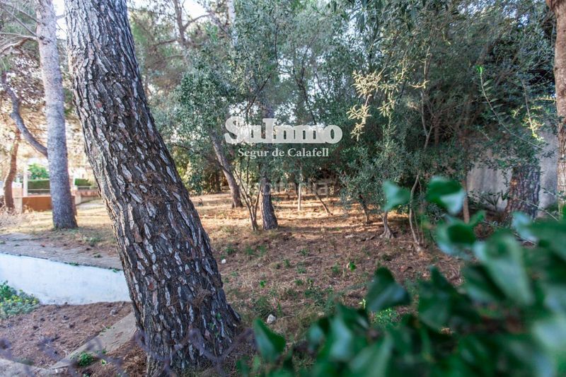 Foto 4f1daf57-27b9-40b6-bb63-b40bb5eb1ff2. Finca rústica a Segur de Calafell nucli urbà Segur de Calafell