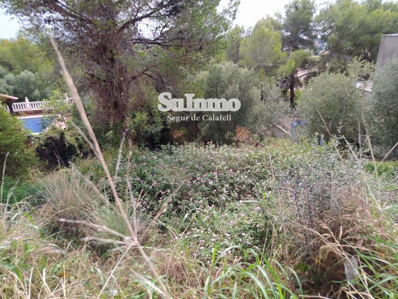 Foto a307e509-84c9-4dd2-96a4-d0de29e41cbd. Finca rústica a Segur de Calafell nucli urbà Segur de Calafell