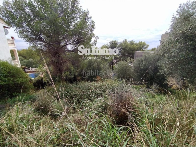 Foto ae6f6e74-2e50-4117-ba34-07b9b2f96518. Finca rústica a Segur de Calafell nucli urbà Segur de Calafell
