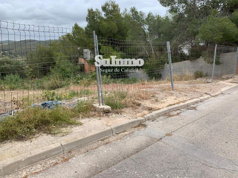 Foto 11be9ccd-0a6e-413d-9553-3a2139e4a597. Finca rústica a Mas romeu Calafell