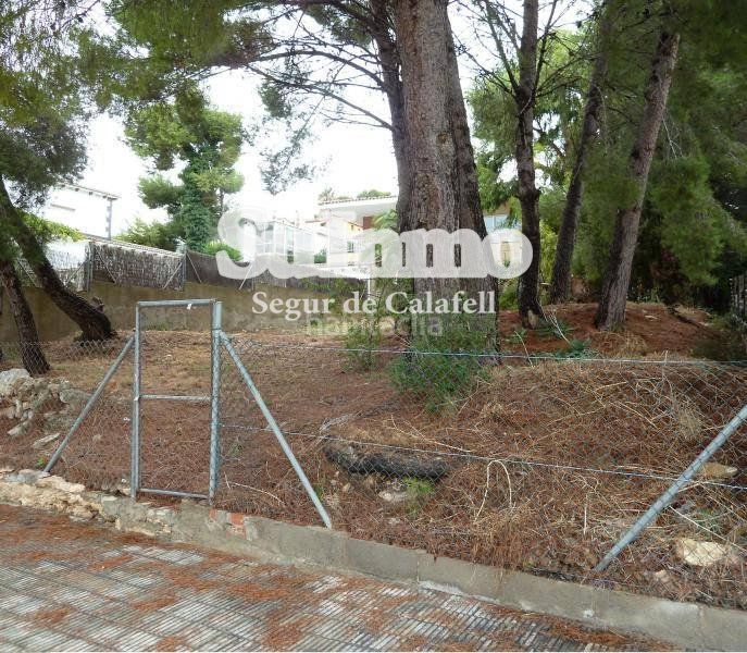 Foto 5b706962-1831-4229-a21c-5a42db0649c1. Finca rústica a Bellamar Calafell