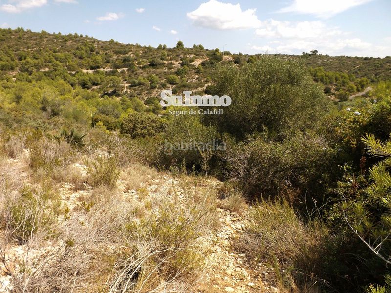 Foto f723da1a-3ae7-4189-9505-0f1aa8c843e4. Finca rústica a Segur de dalt Segur de Calafell
