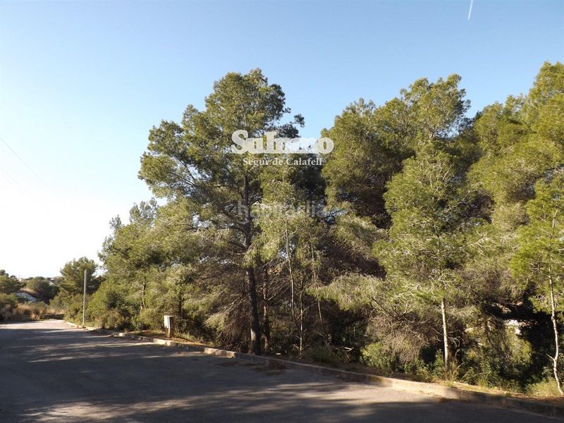 Foto 061a108e-0215-4713-920b-fec7420a9f20. Finca rústica a Segur de dalt Segur de Calafell