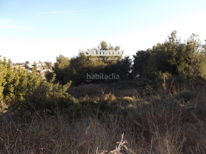 Foto 8ee2ba63-46f4-4bfb-8d91-bba2fe153fe1. Finca rústica a Segur de Calafell nucli urbà Segur de Calafell