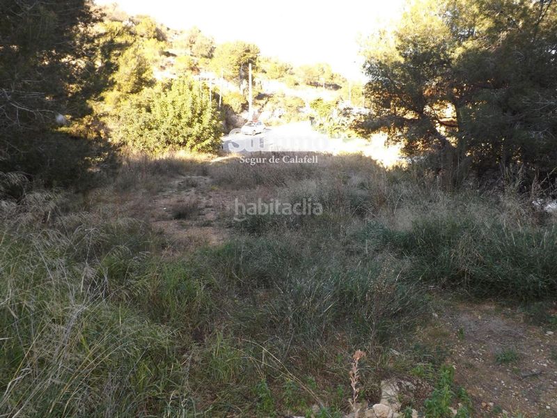 Foto d1075166-dc73-4692-b434-81aa9881bbe0. Finca rústica a Segur de Calafell nucli urbà Segur de Calafell